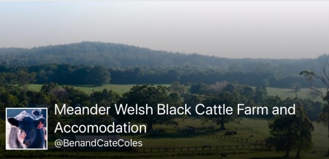 Meander Welsh Black Cattle Farm and Accomodation
